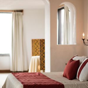 Se Permiten Perros Habitación con Cama King